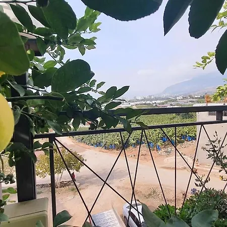 Duplex With View Hotel *